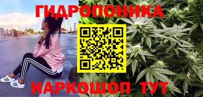 ПСИЛОЦИБИНОВЫЕ ГРИБЫ Кинель