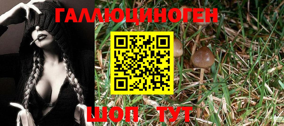 Галлюциногенные грибы Psilocybe  купить наркотики сайты  Костомукша  Вход с VPN 
