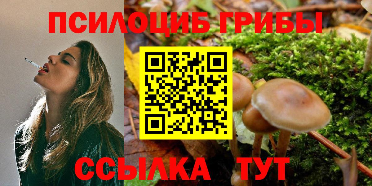 Галлюциногенные грибы Cubensis Костомукша